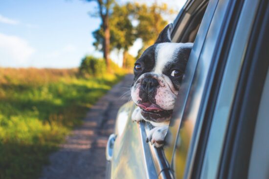 scopri i migliori consigli per un road trip indimenticabile! dalle pianificazioni di itinerari avvincenti ai suggerimenti su come goderti al massimo il viaggio, trova tutto ciò che ti serve per un'avventura su strada perfetta.