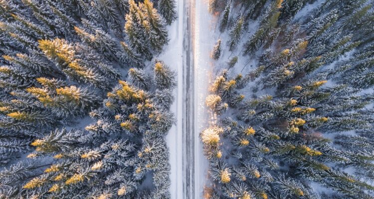 scopri viaggi avventurosi che ti porteranno in luoghi inesplorati, tra esperienze emozionanti e paesaggi mozzafiato. pronto per la tua prossima avventura?