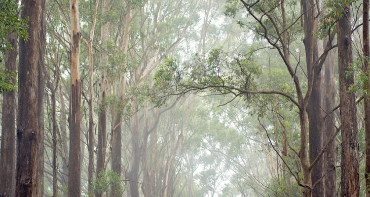 scopri l'emozione di un'avventura all'aperto! esplora paesaggi mozzafiato, attività emozionanti e esperienze indimenticabili in mezzo alla natura. unisciti a noi per vivere l'avventura definitiva all'aria aperta.