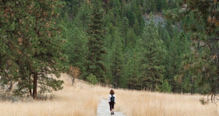 scopri i sentieri mozzafiato e le bellezze naturali dell'italia con il nostro guide sul hiking. esplora paesaggi incantevoli, immergiti nella natura e vivi avventure indimenticabili a piedi.