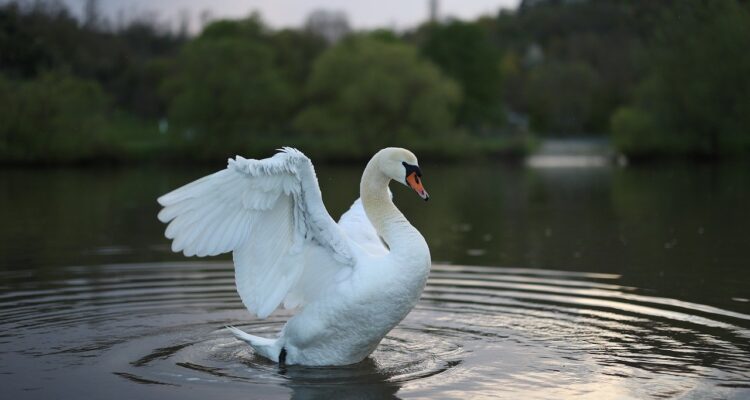 scopri il mondo con i nostri consigli di viaggio, itinerari affascinanti e esperienze indimenticabili per rendere ogni avventura unica.