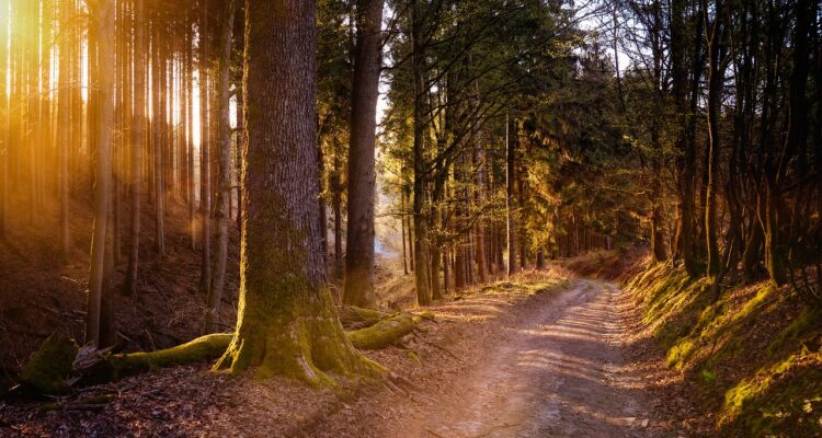 scopri i migliori sentieri per escursioni in italia, perfetti per tutti gli amanti della natura e dell'avventura. esplora panorami mozzafiato, immergiti nella bellezza dei paesaggi italiani e vivi esperienze indimenticabili.