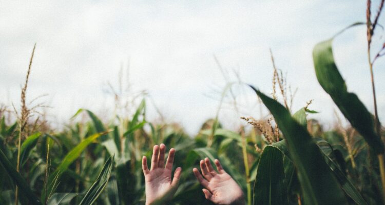scopri le migliori escursioni giornaliere in italia! esplora paesaggi mozzafiato, città storiche e attrazioni imperdibili in un solo giorno. pianifica la tua avventura perfetta!