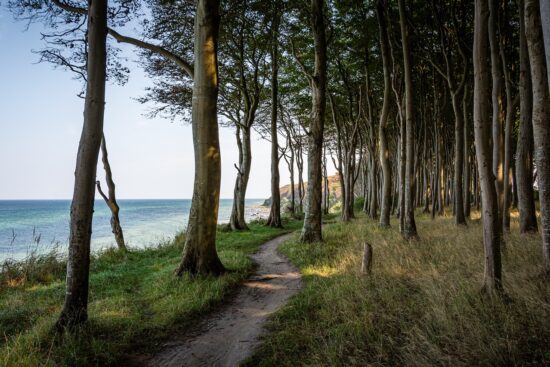scopri i migliori sentieri per mountain bike: avventure entusiasmanti attraverso paesaggi naturali mozzafiato, sentieri adatti a tutti i livelli e suggerimenti utili per un'esperienza indimenticabile in sella alla tua bici.