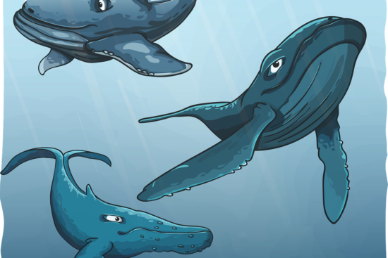 scopri l'affascinante mondo dell'oceanografia, la scienza che studia gli oceani e i mari, esplorando i loro ecosistemi, la biodiversità e l'impatto umano. immergiti nelle meraviglie marine e apprendi come proteggere le risorse oceaniche.