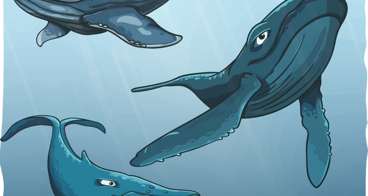 scopri l'affascinante mondo dell'oceanografia, la scienza che studia gli oceani e i mari, esplorando i loro ecosistemi, la biodiversità e l'impatto umano. immergiti nelle meraviglie marine e apprendi come proteggere le risorse oceaniche.