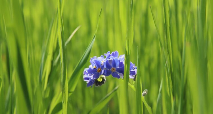 scopri luoghi nascosti in italia, lontani dalle folle turistiche. questa guida ti porterà in viaggio attraverso gemme segrete, angoli pittoreschi e esperienze uniche. esplora il lato meno conosciuto del bel paese e lasciati sorprendere dalla bellezza nascosta.