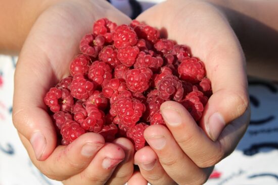 scopri i molteplici vantaggi che puoi ottenere, dal miglioramento della salute al rafforzamento delle relazioni personali. esplora come ciascun beneficio possa arricchire la tua vita quotidiana e aiutarti a raggiungere i tuoi obiettivi.