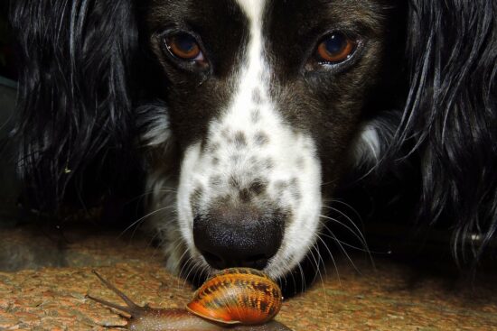 incontri culturali: scopri il fascino della diversità attraverso eventi, esperienze e scambi che celebrano le tradizioni e le innovazioni delle diverse culture. un viaggio che arricchisce l'anima e amplia gli orizzonti.