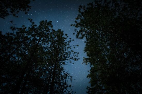scopri l'incanto del cielo notturno con la stargazing: osserva stelle, pianeti e costellazioni in un'esperienza magica e rilassante. unisciti a noi per un'avventura memorabile sotto le stelle!