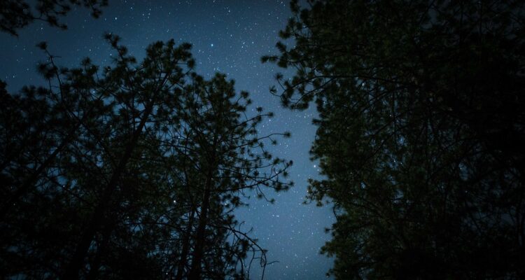 scopri l'incanto del cielo notturno con la stargazing: osserva stelle, pianeti e costellazioni in un'esperienza magica e rilassante. unisciti a noi per un'avventura memorabile sotto le stelle!