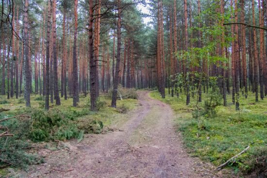 scopri il mondo con la consapevolezza: il viaggio mindful ti invita a esplorare nuove destinazioni con un occhio attento alla tua esperienza. rinnova il tuo spirito viaggiando in armonia con te stesso e l'ambiente.