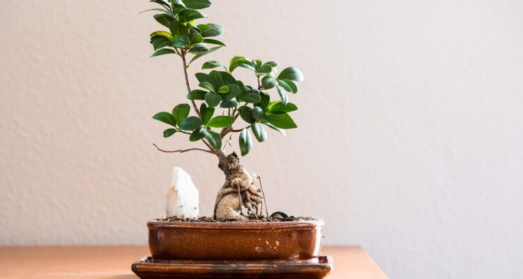 scopri il brivido delle escape room! immergiti in avventure emozionanti, risolvi enigmi e lavora in squadra per liberarti entro il tempo limite. una sfida indimenticabile per amici e famiglie!